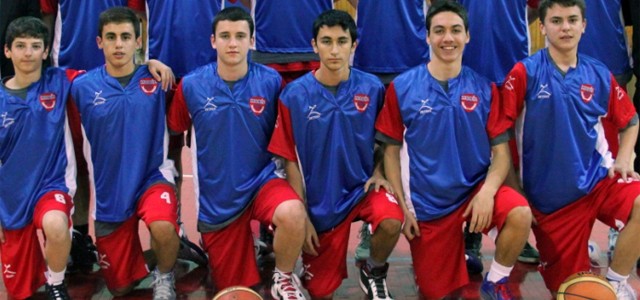 Takım sporları